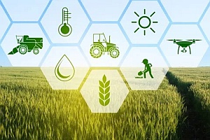 Информация Контрольно-счетной палаты Вологодской области о принятых мерах по результатам контрольного мероприятия